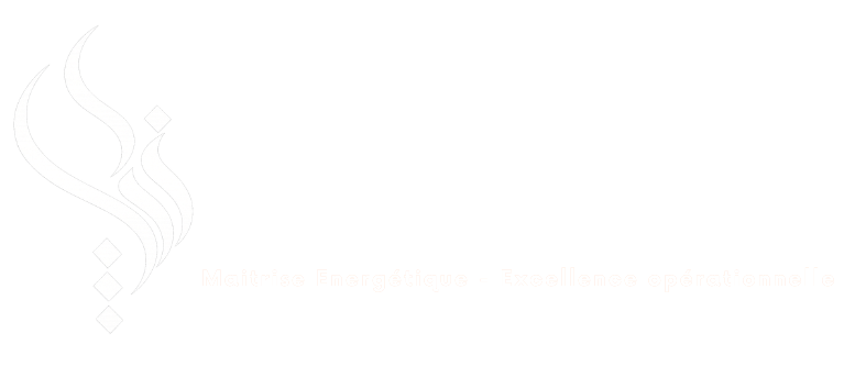 Zen Energia